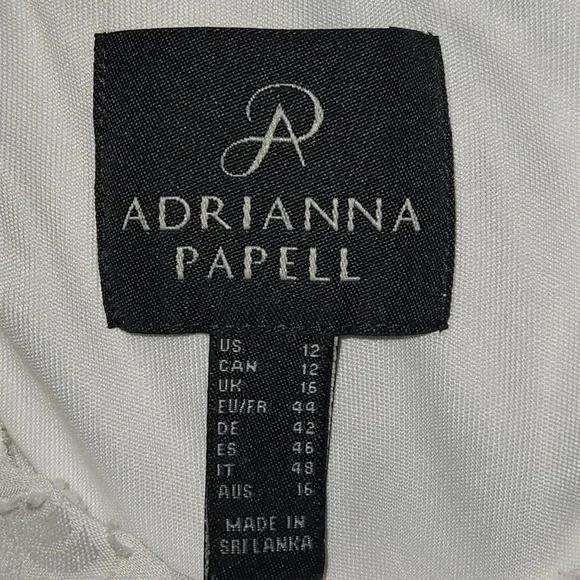 Adrianna Papell Dress Lacy Ivory Size 12 Lined Boho Embroidered Overlay Midi - Picture 2 of 16